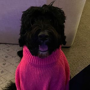 Meet your Posher, Jeremy